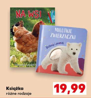 Książka