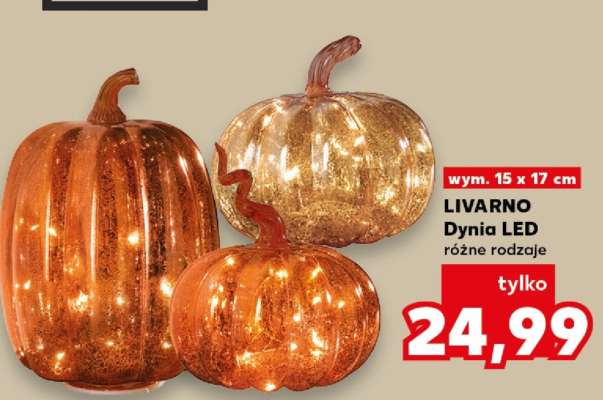 LIVARNO Dynia LED