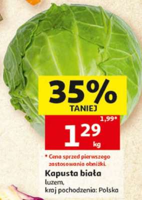 Kapusta biała
