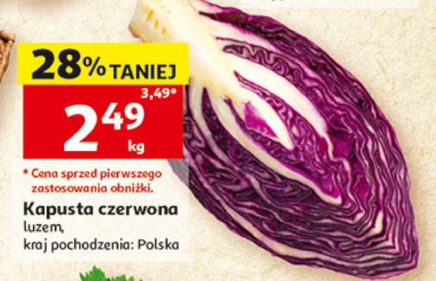 Kapusta czerwona