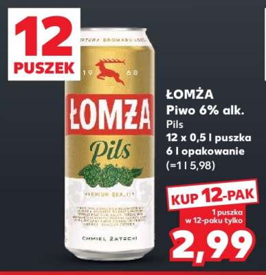 ŁOMŻA Piwo 6% alk.
