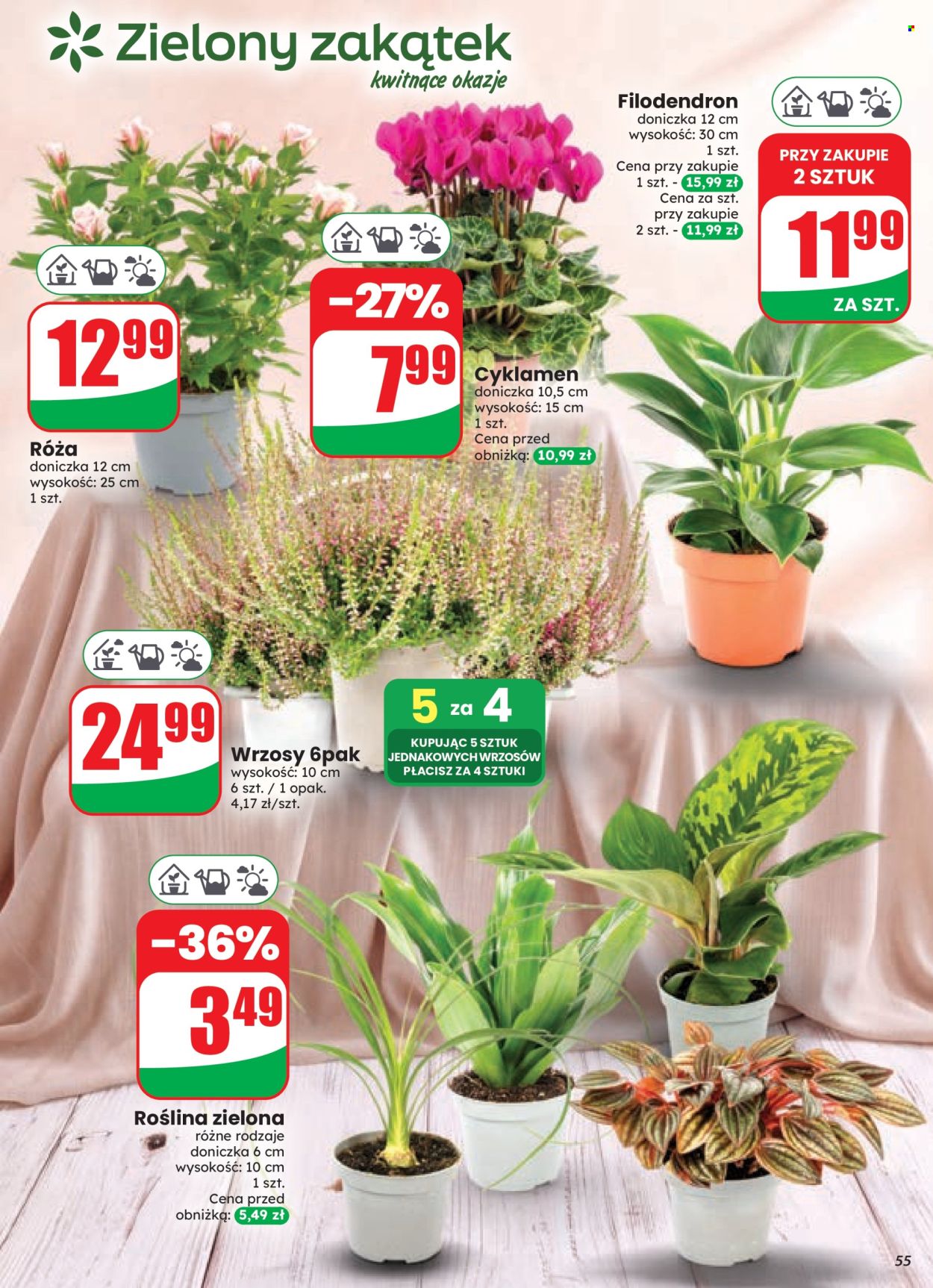 Gazetka Dino - 9.09.2026 - 15.09.2026. Strona 55