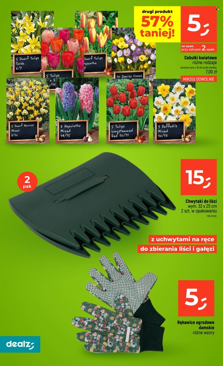Gazetka Dealz - 10.09.2026 - 16.09.2026. Strona 44