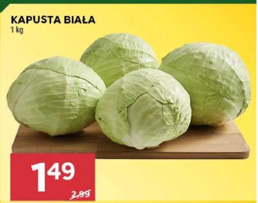 Kapusta biała