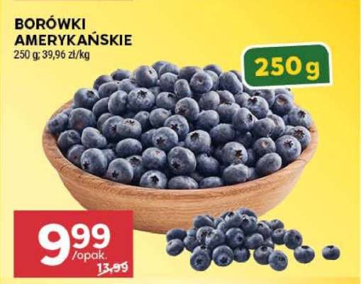Borówki amerykańskie