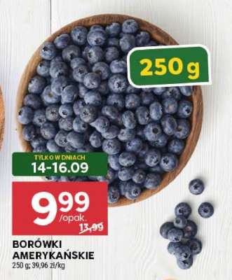 Borówki amerykańskie