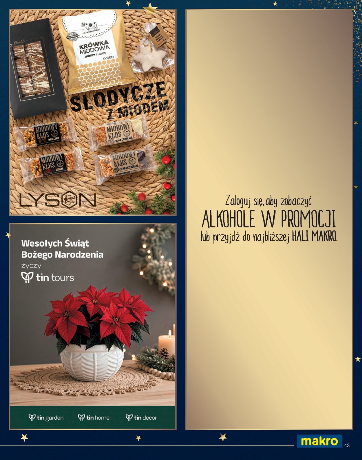 Gazetka Makro - 1.11.2026 - 31.12.2026. Strona 43