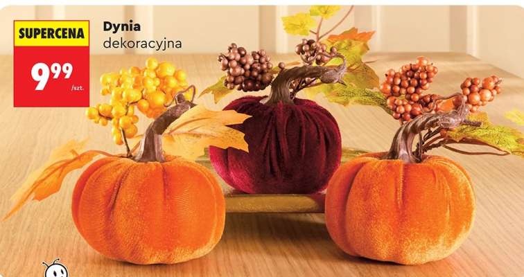 Dynia dekoracyjna