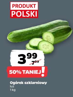 Ogórek szklarniowy