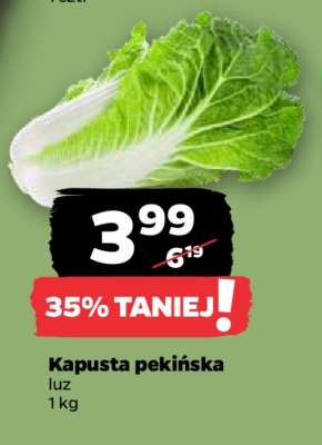 Kapusta pekińska