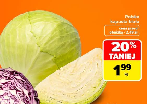 POLSKA Kapusta biała