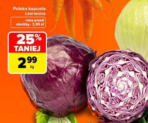 Polska kapusta czerwona