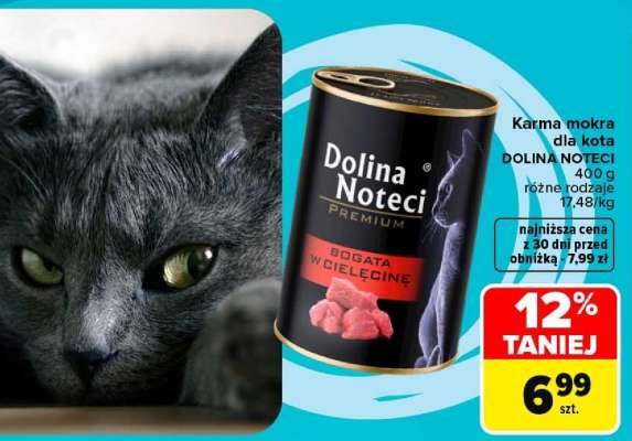 Dolina Noteci