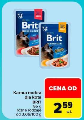 Brit
