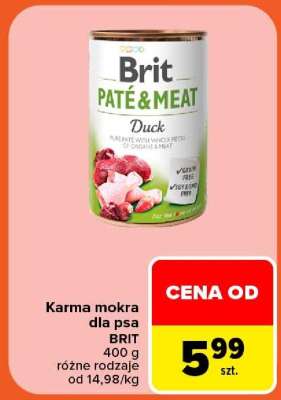 Brit