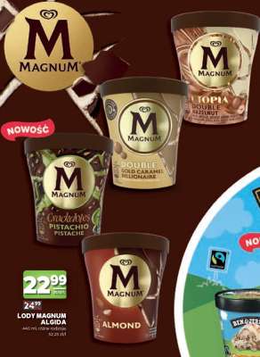 Lody MAGNUM ALGIDA