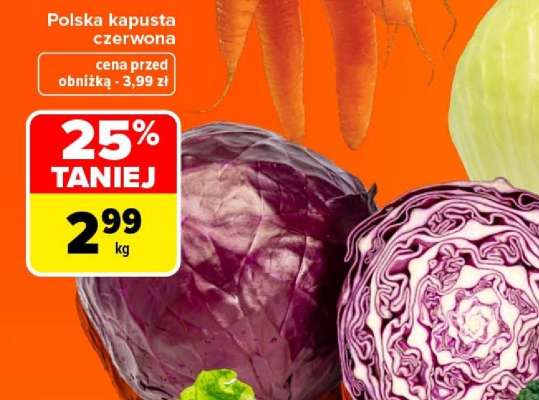Polska kapusta czerwona