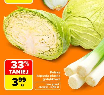 Polska kapusta płaska gołąbkowa