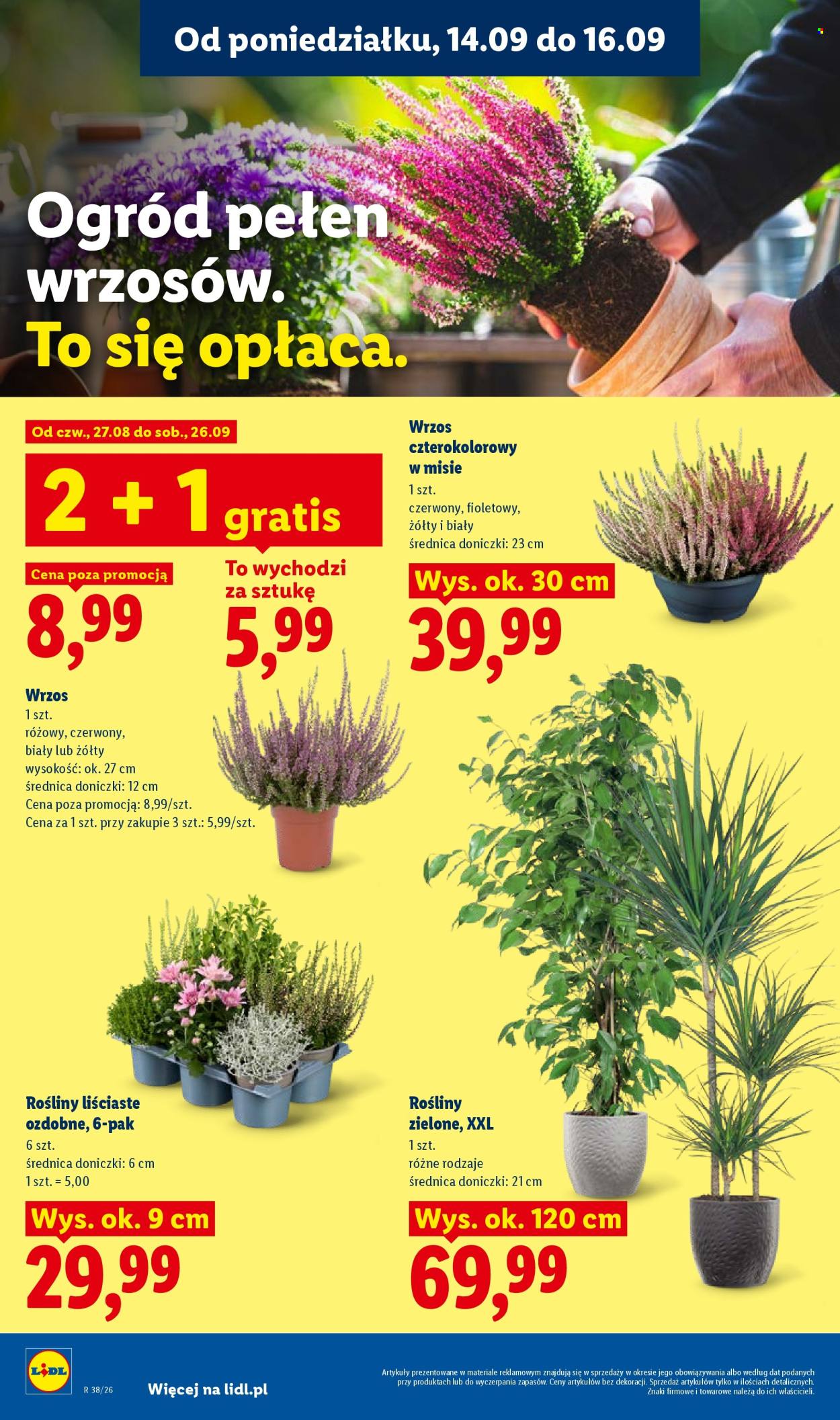 Gazetka Lidl - 14.09.2026 - 16.09.2026. Strona 78