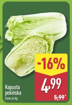 Kapusta pekińska