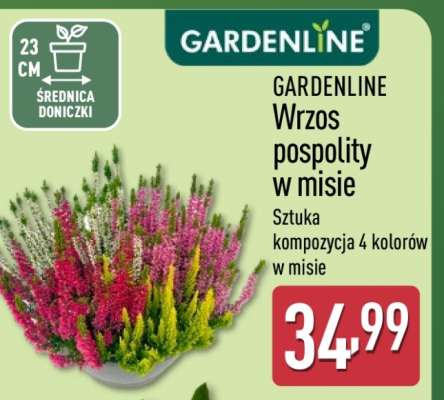 GARDENLINE Wrzos pospolity w misie