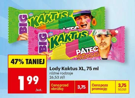 Lody Kaktus XL, 75 ml