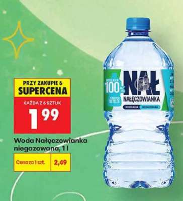 Woda Nałęczowianka niegazowana, 1l