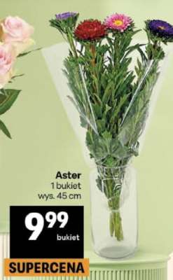 Aster