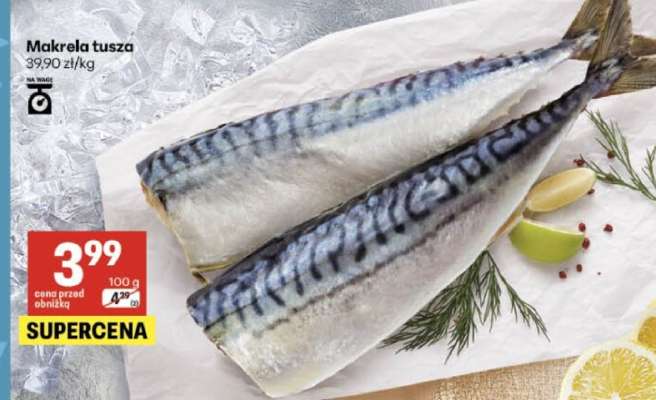 Makrela, tusza