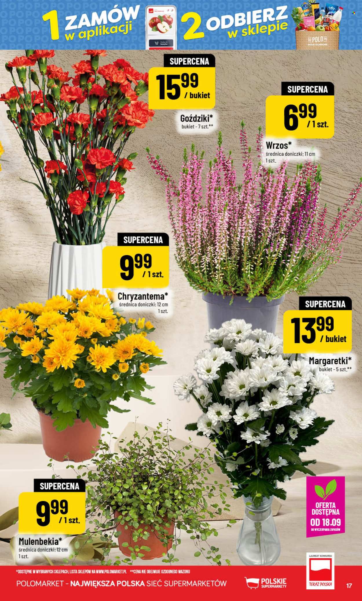 Gazetka Polomarket - 16.09.2026 - 22.09.2026. Strona 17