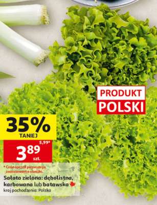 Sałata zielona