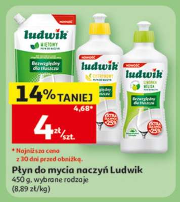 Płyn do mycia naczyń Ludwik