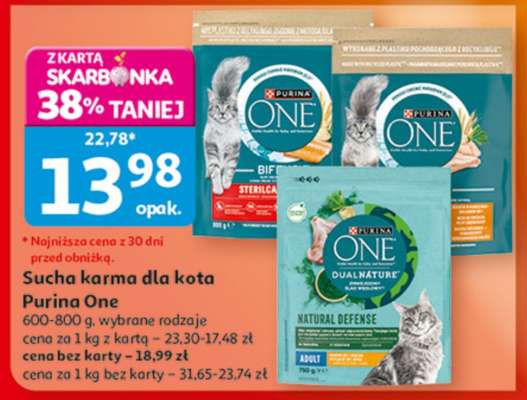PURINA ONE