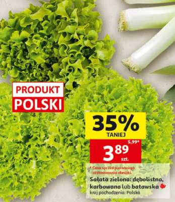 Sałata zielona
