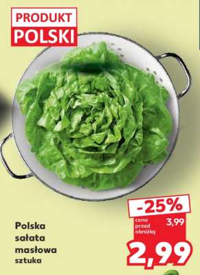 Polska sałata masłowa sztuka