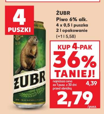 Żubr