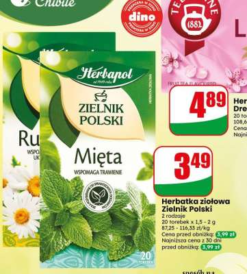 Herbatka ziołowa Zielnik Polski