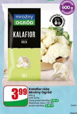 Kalafior róża Mroźny Ogród
