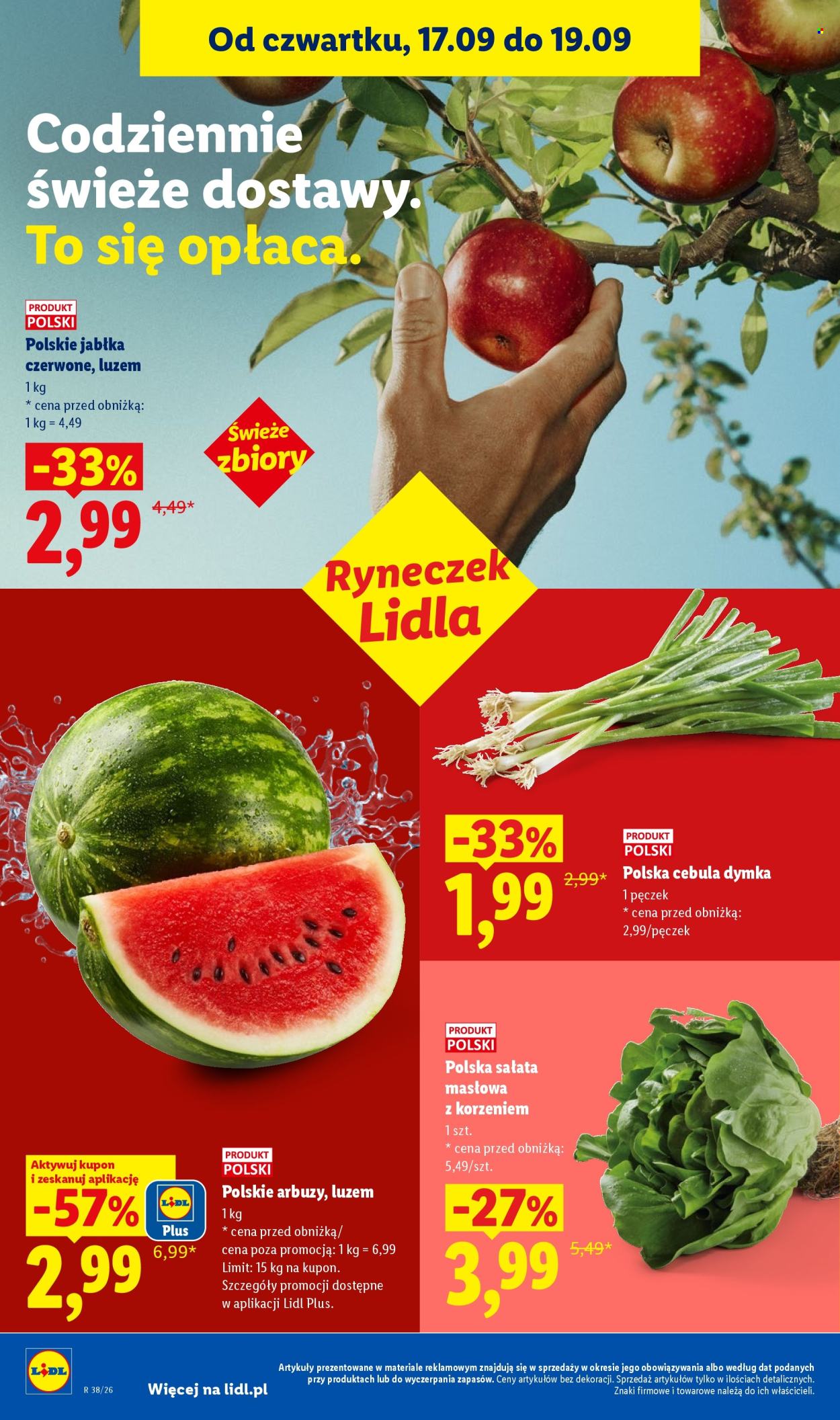 Gazetka Lidl - 17.09.2026 - 19.09.2026. Strona 42