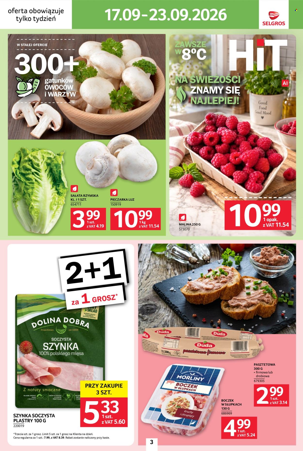 Gazetka Selgros - 17.09.2026 - 23.09.2026. Strona 3
