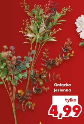 Gałązka jesienna