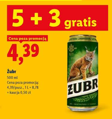 Żubr