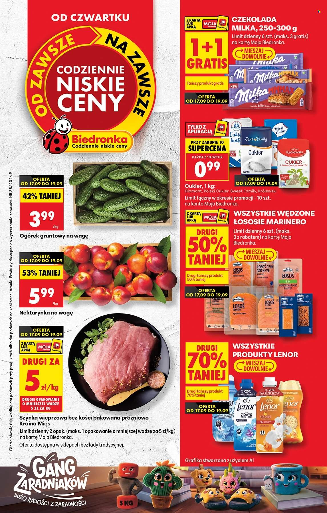 Gazetka Biedronka - 17.09.2026 - 23.09.2026. Strona 1