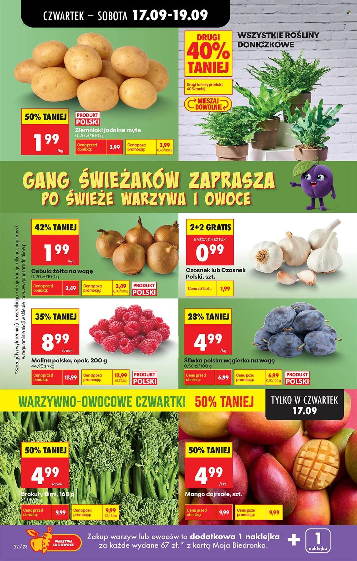 Gazetka Biedronka - 17.09.2026 - 23.09.2026. Strona 21