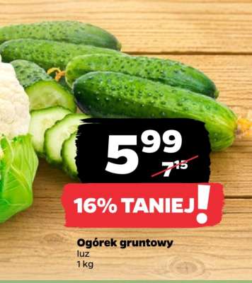 Ogórek gruntowy