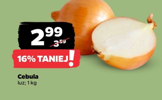 Cebula