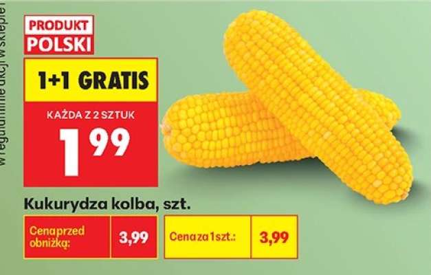 Kukurydza kolba szt