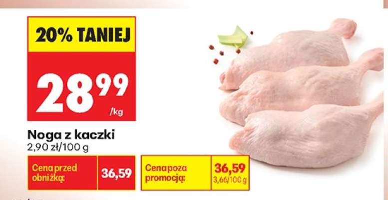 Noga z kaczki