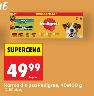 Karma dla psa Pedigree, 40x100 g