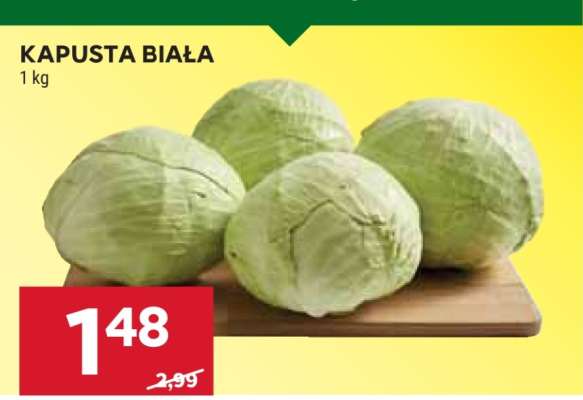 Kapusta biała